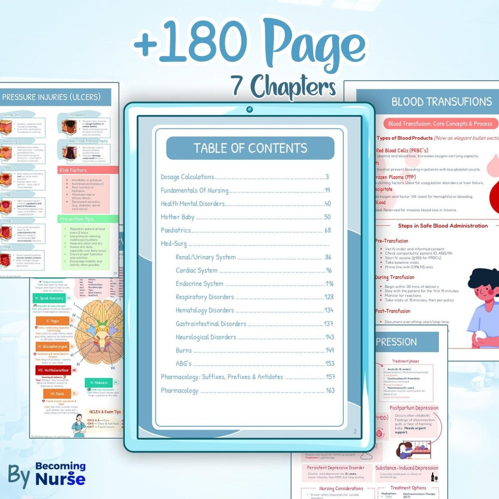 Becoming Nurse Study Notes Bundle (Digital PDF) - Velryx